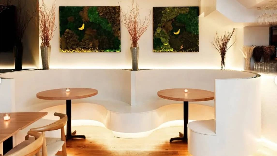 East & Southeast Asian / Asian-American High-End Singles Mixer NYC