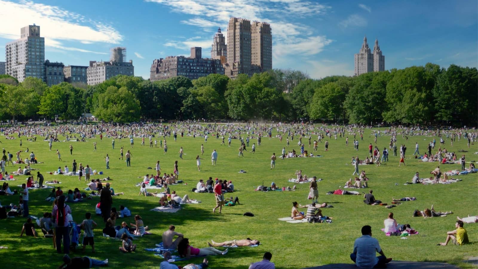 August Park Picnic (Third Culture Kid Meetup)