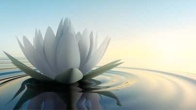 Filosofía y Práctica Budista. Mindfulness y Meditación para calmar la mente.