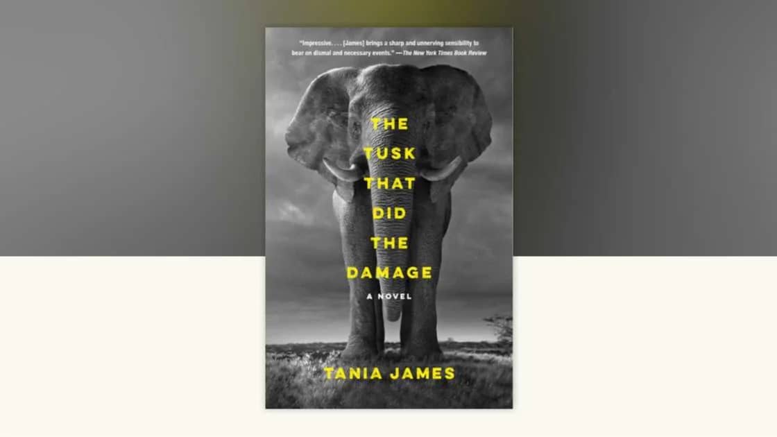 The Tusk That Did The Damage by Tania James