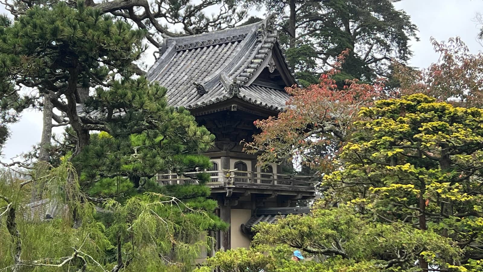 Let’s Paint in the Japanese Garden