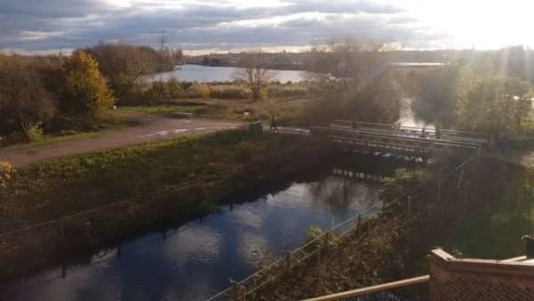 SCENIC WALTHAMSTOW WETLANDS 🌿🌳💦£5 WALK