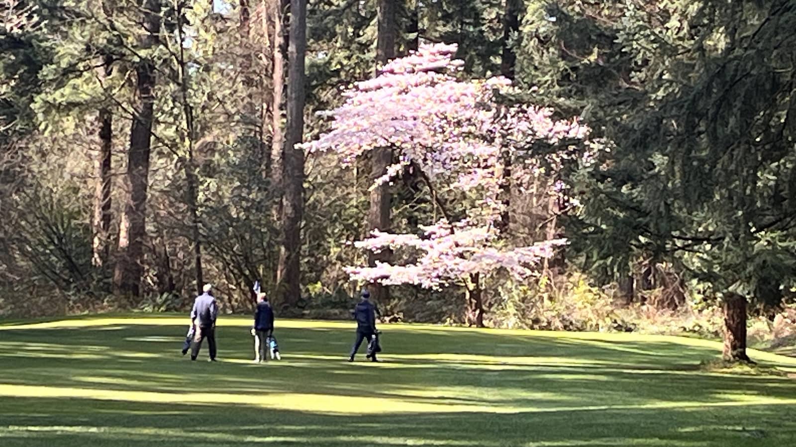 Burnaby Pitch & Putt: Meet New Golfers at Central Park!
