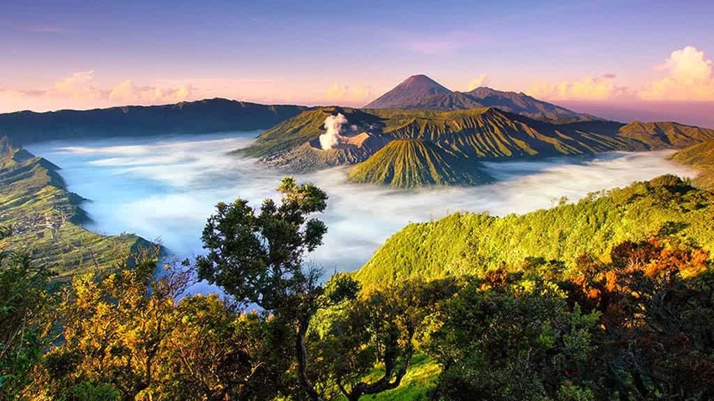 ** BEAUTIFUL BROMO/ MT IJEN/ 7-WATERFALLS/ SUBMARINE & MORE! **