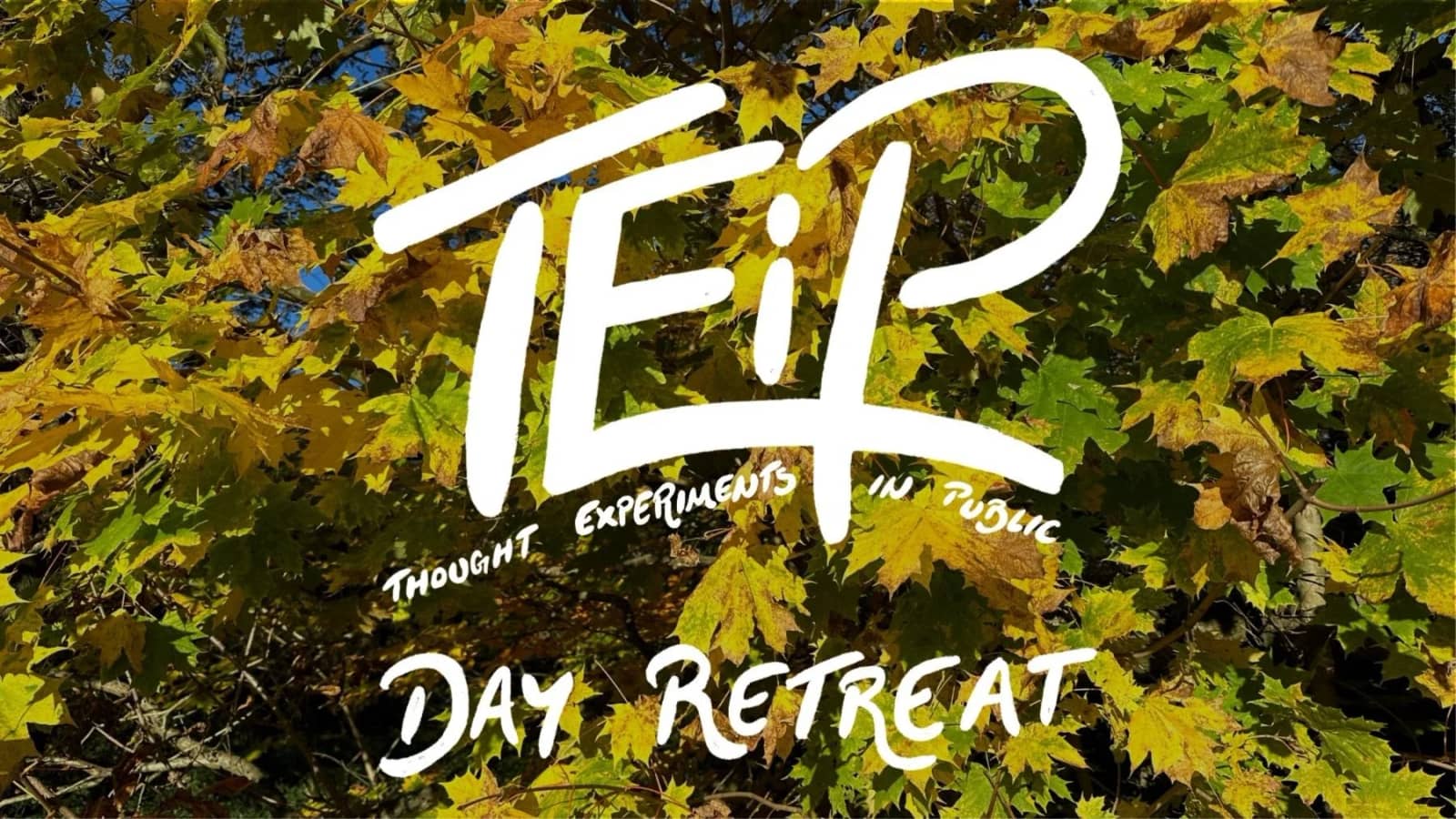 OCTOBER TEiP DAY RETREAT • FREE • EPPING FOREST | Thought Experiments in Public
