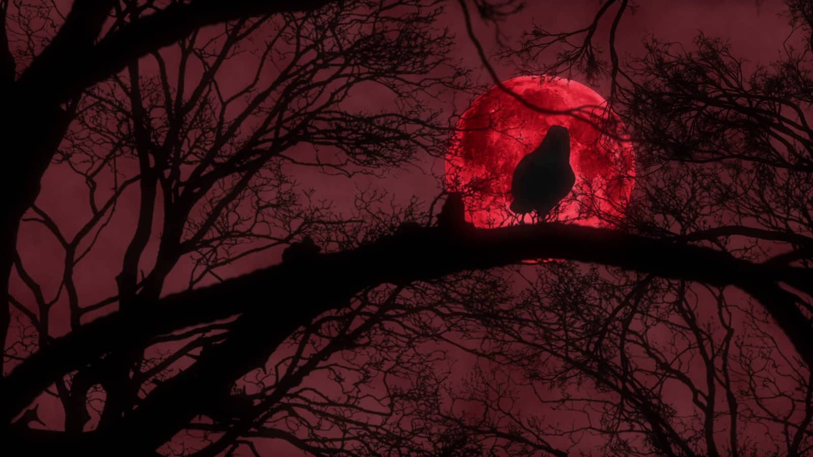 The Blood Moon Ritual