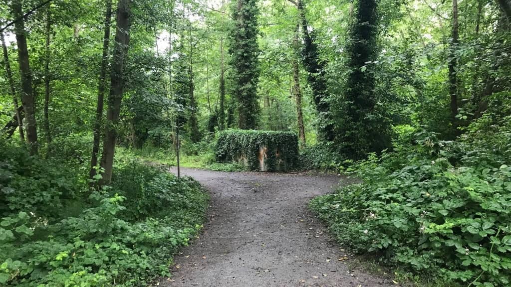 MORNING Walk. Musqueam Park, Shortlands Pt. 2. Options 2 to 9km. Flattish, Shady