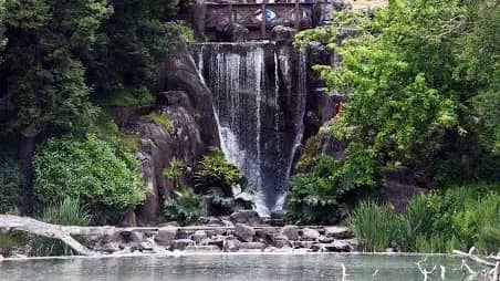 ✨ A New View: Painting Huntington Falls 🎨