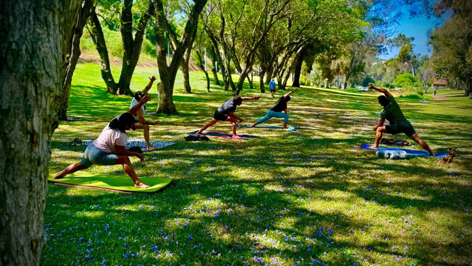 Self-Care Sunday: Outdoor Yoga
