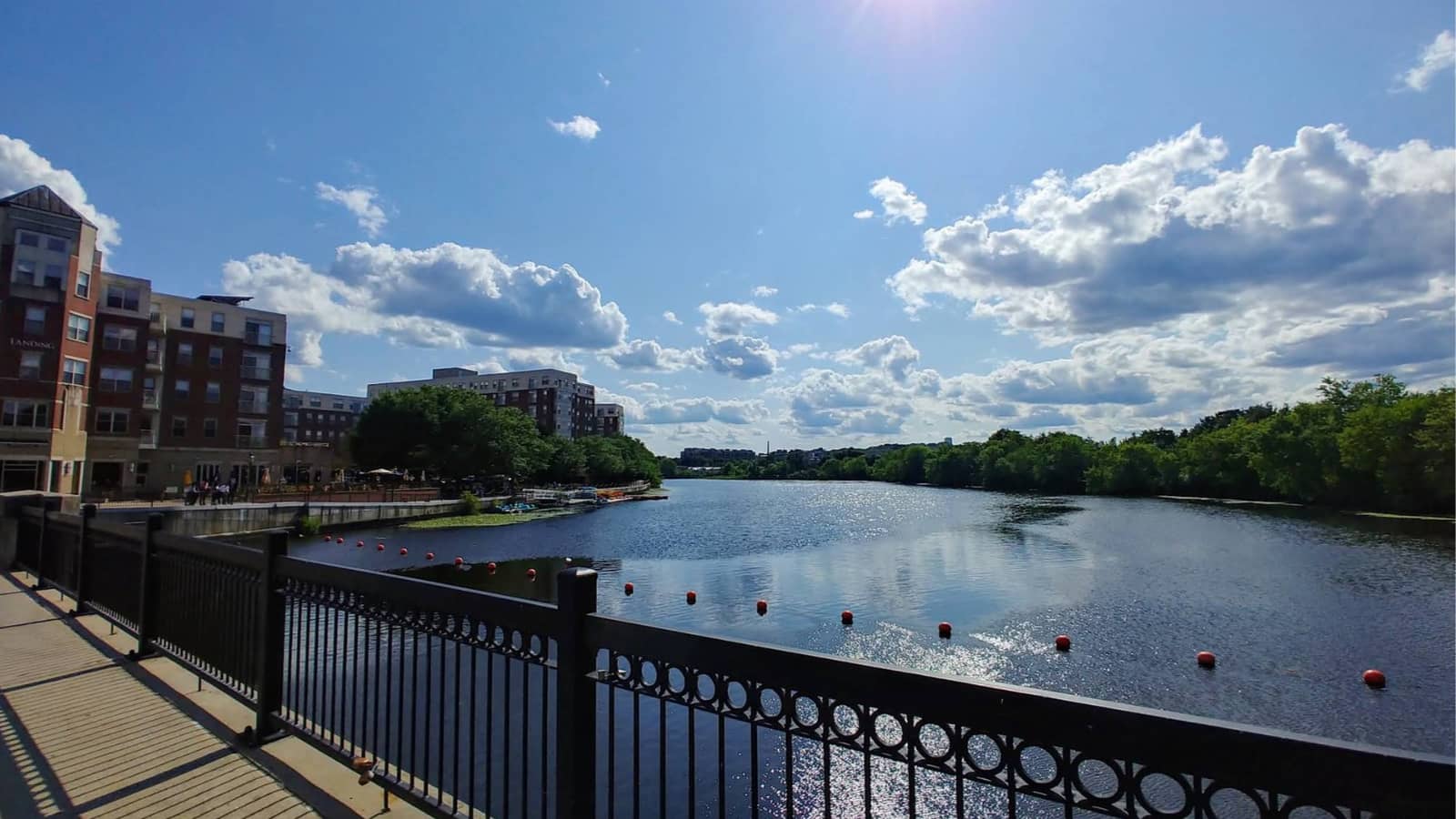 Arlington-Area 30/40's: Kayak the Charles from Waltham