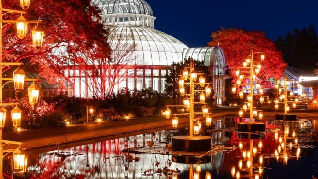 ๐๐ Fall Harvest Festival at Brooklyn Botanic Garden! ๐ป๐