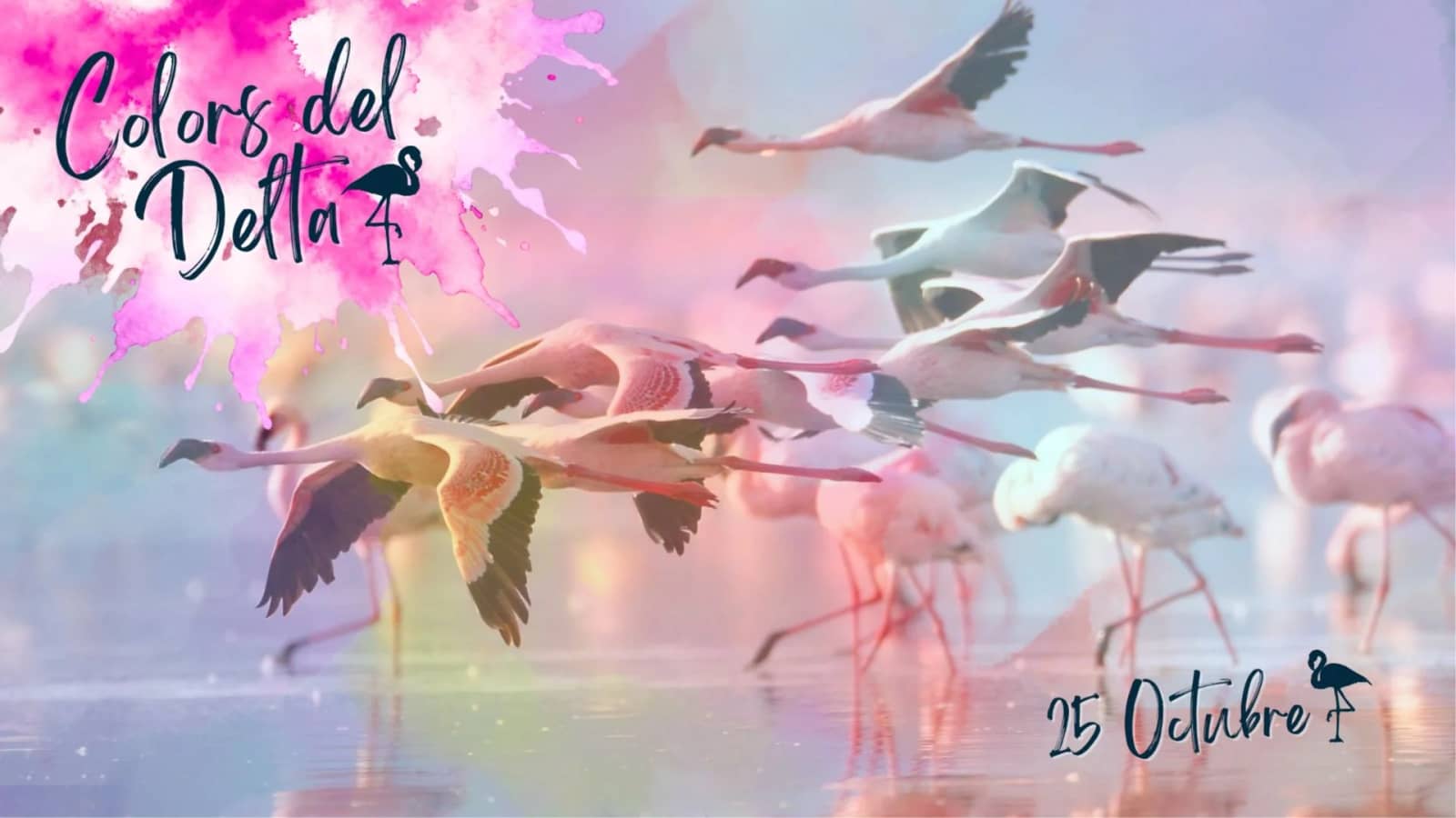 🦩COLORS DEL DELTA – UN DIA ENTRE NATURA I FAUNA