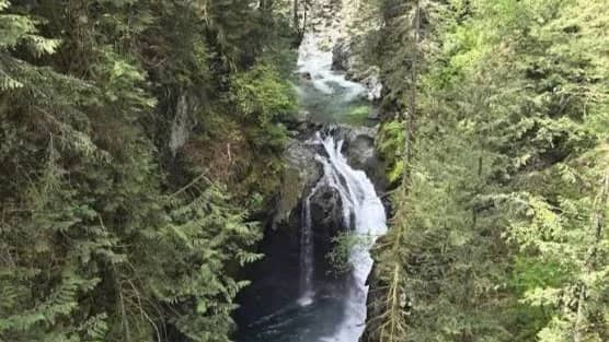Seymour Canyon and Lynn Canyon Loop: Intermediate
