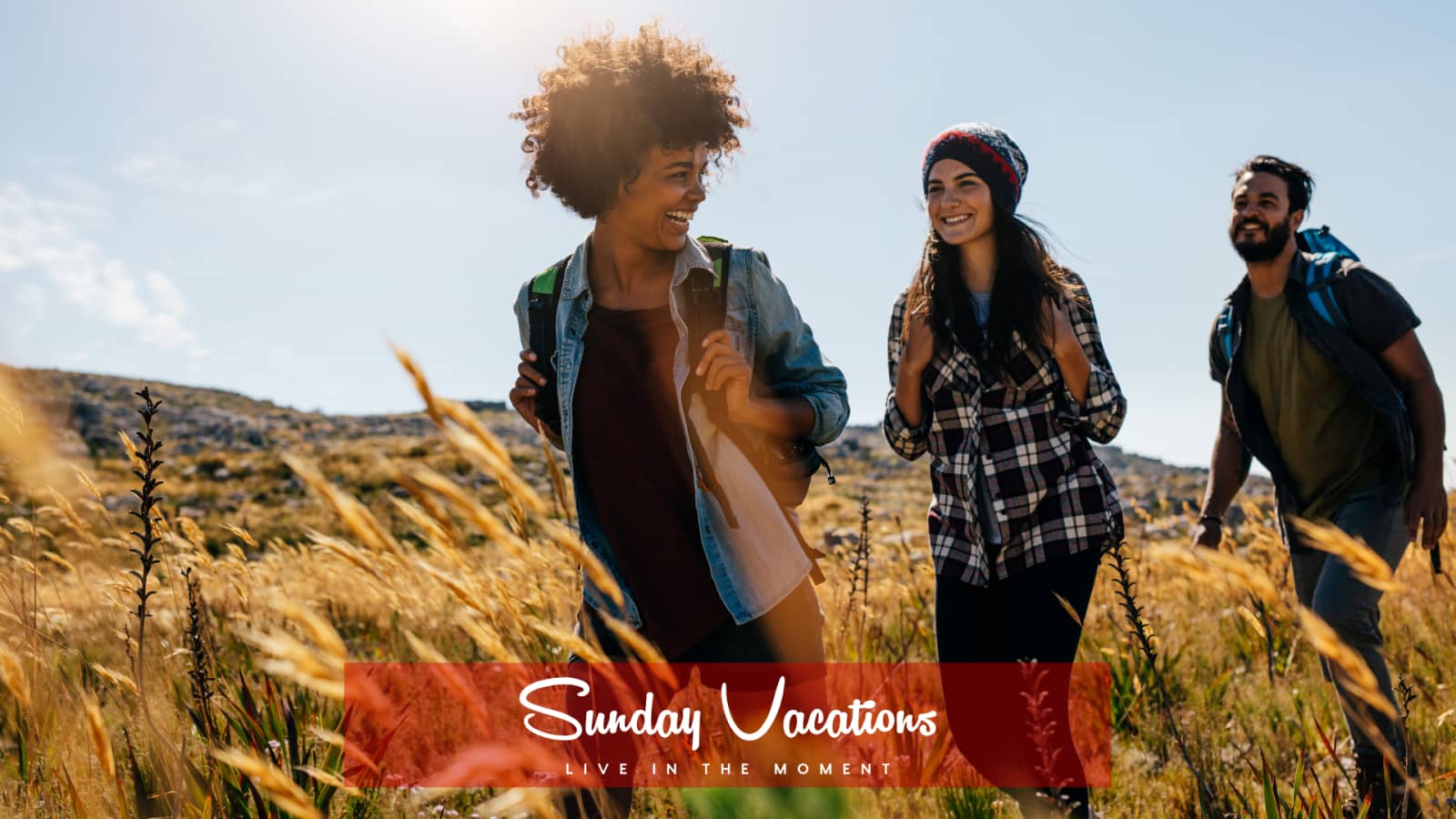 🌿 Green Walk Hike: Boitsfort → Uccle-Calevoet Sonian