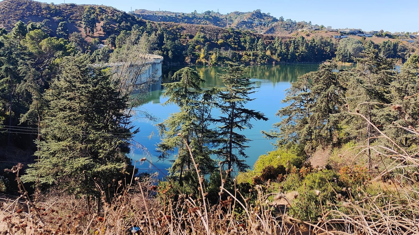 Urban Hike with Stairs in Beachwood (Hollywood), Level: Moderate+