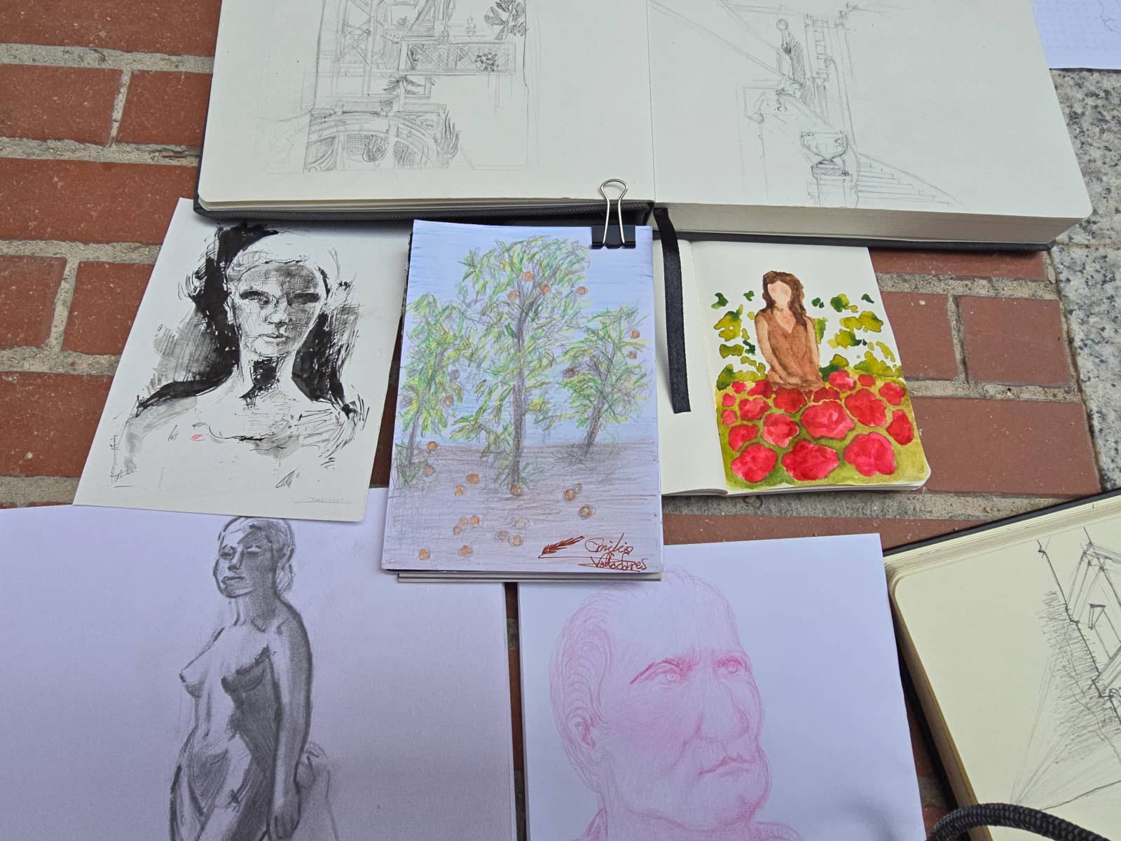 Urban sketching: Expo Evolucion Museo Ciencias Naturales