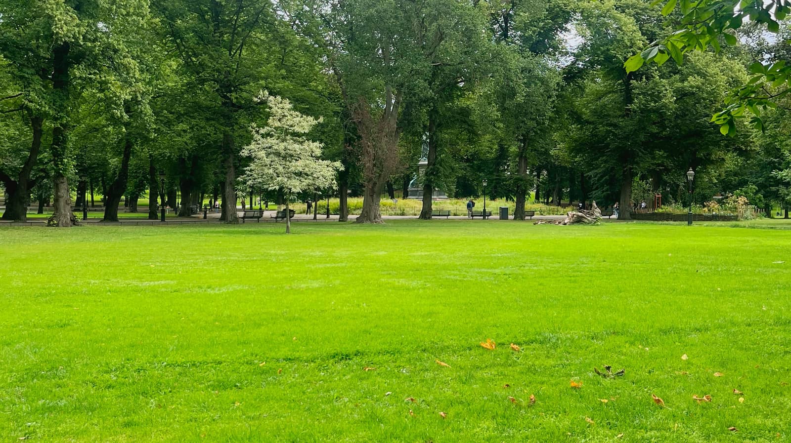 Läshäng i Humlegården / Silent reading in Humlegården