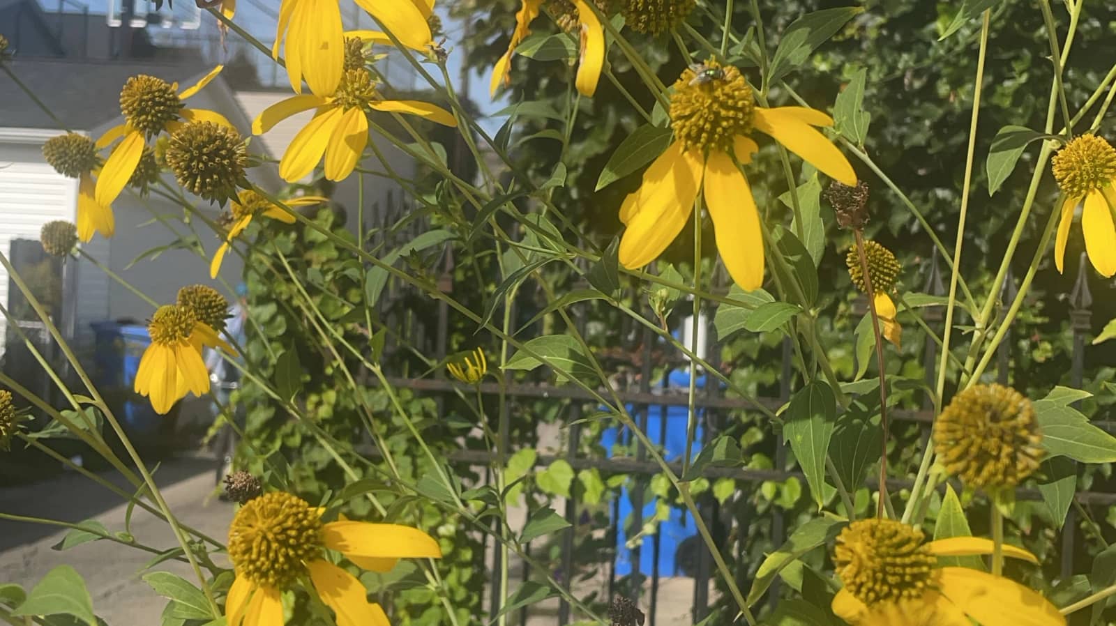 Prairie preservation and brews on the river
