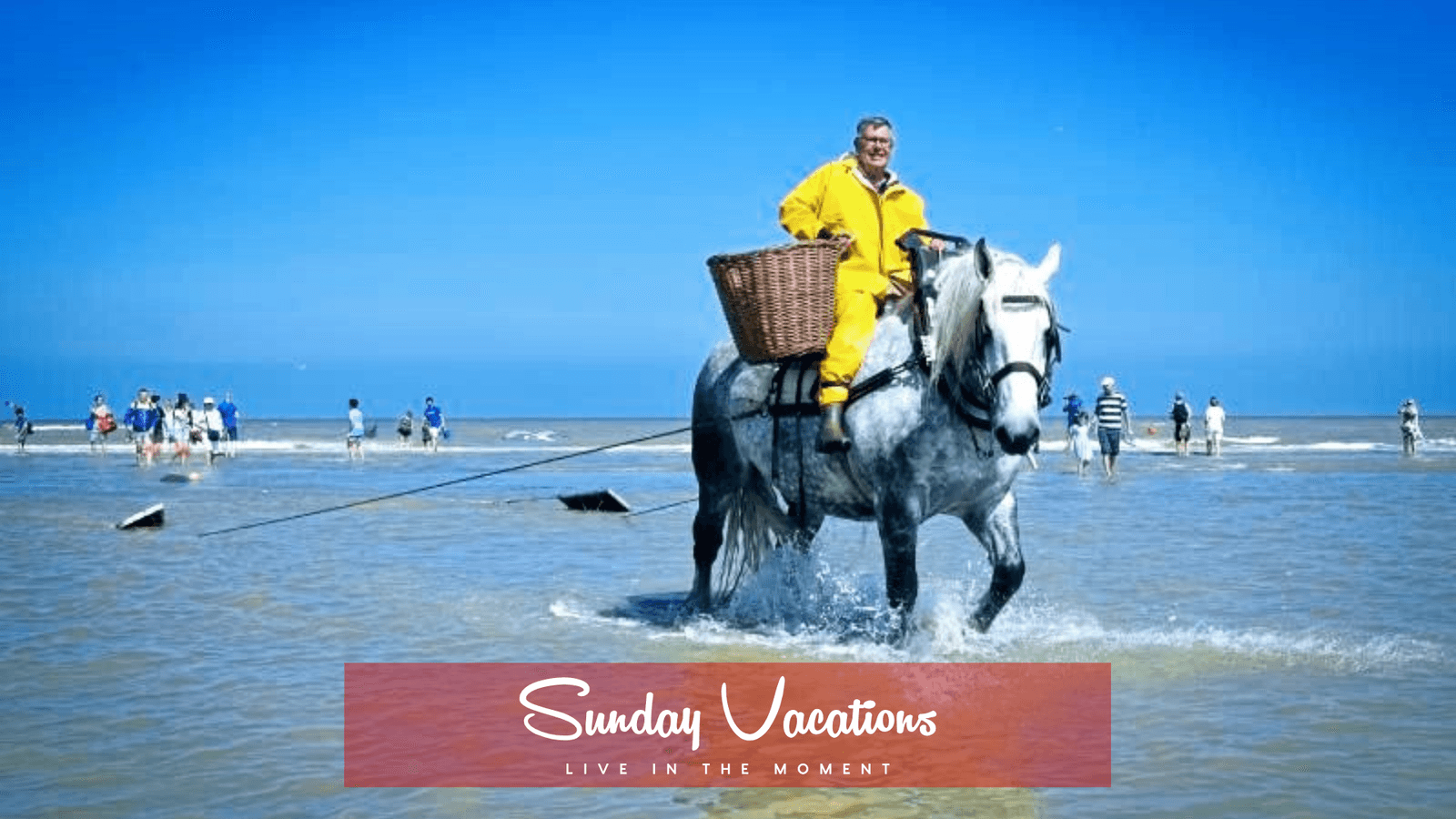 🦐 UNESCO Heritage Adventure: Horseback Shrimp Fishing & Dune Hiking