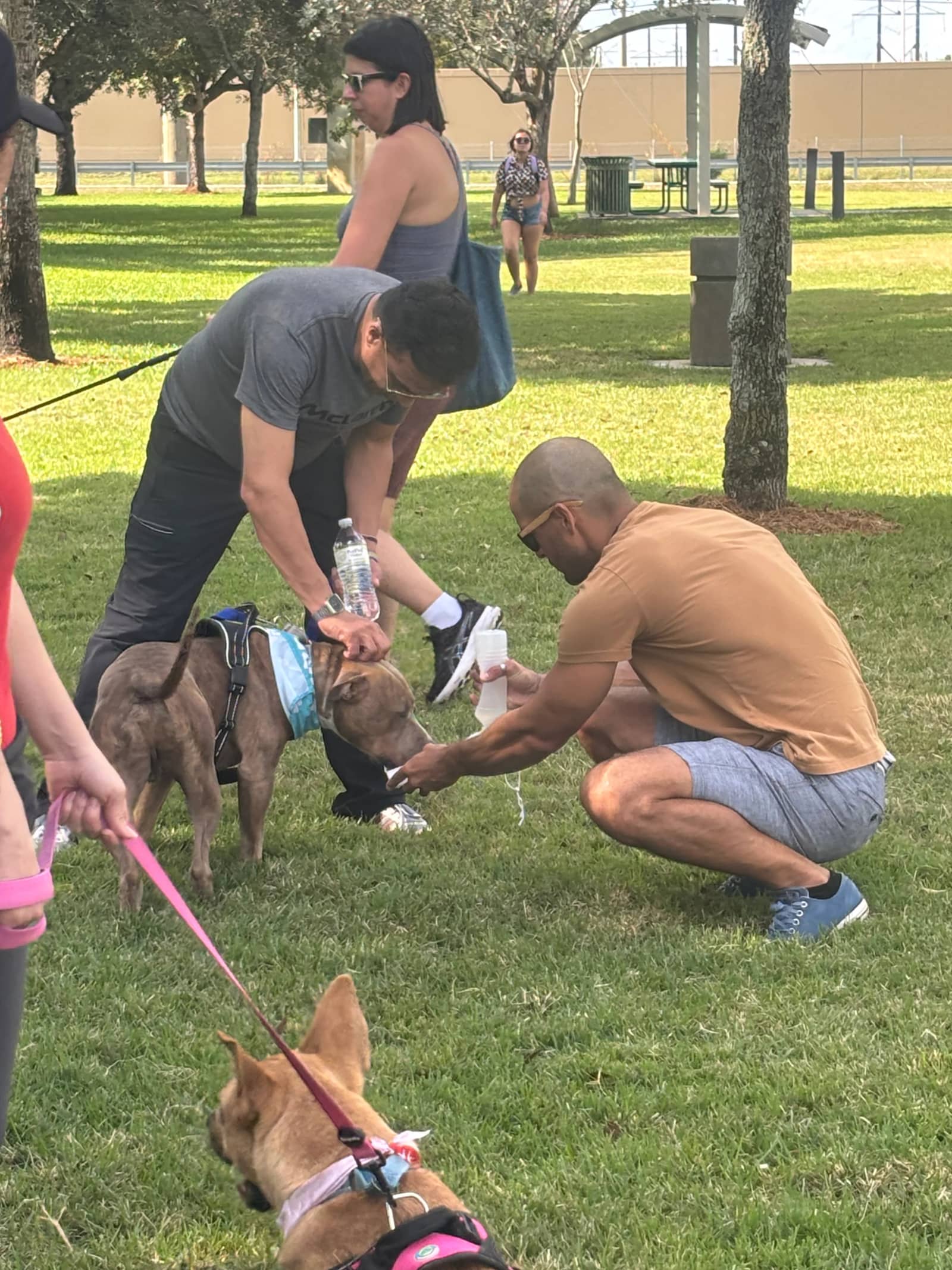 🐶❤️ One Love Foundation-Pawventures Edition: Social Walks for Shelter Dogs