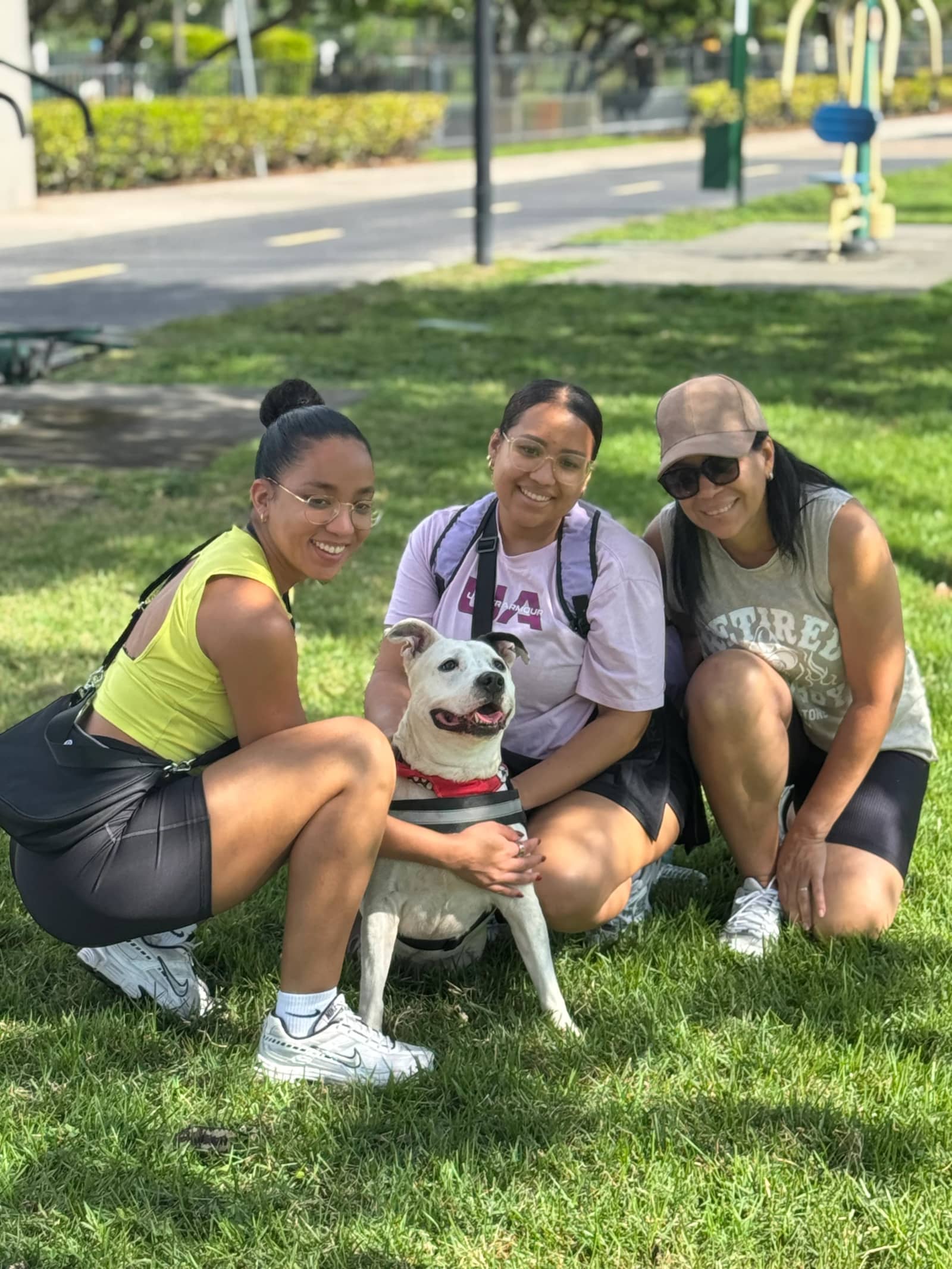 🐶❤️ One Love Foundation-Pawventures Edition: Social Walks for Shelter Dogs