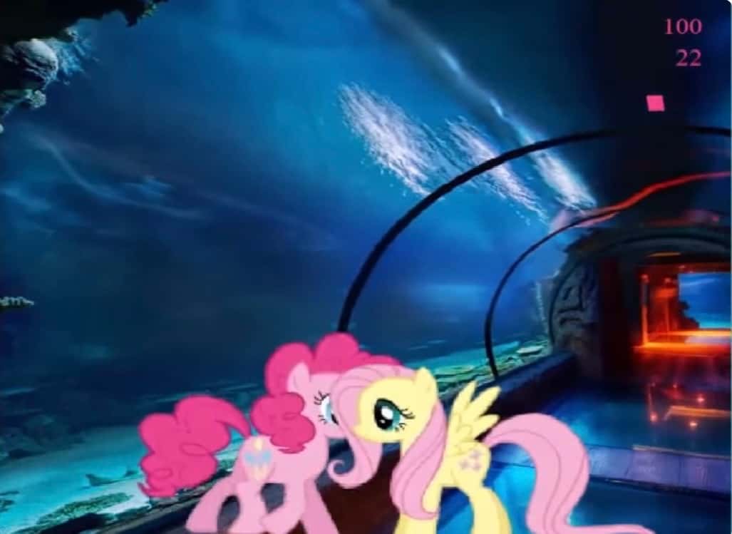 bronies at the aquarium