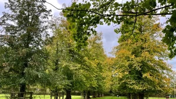 GREEN £5 WALK: WANDSWORTH and CLAPHAM COMMONS.