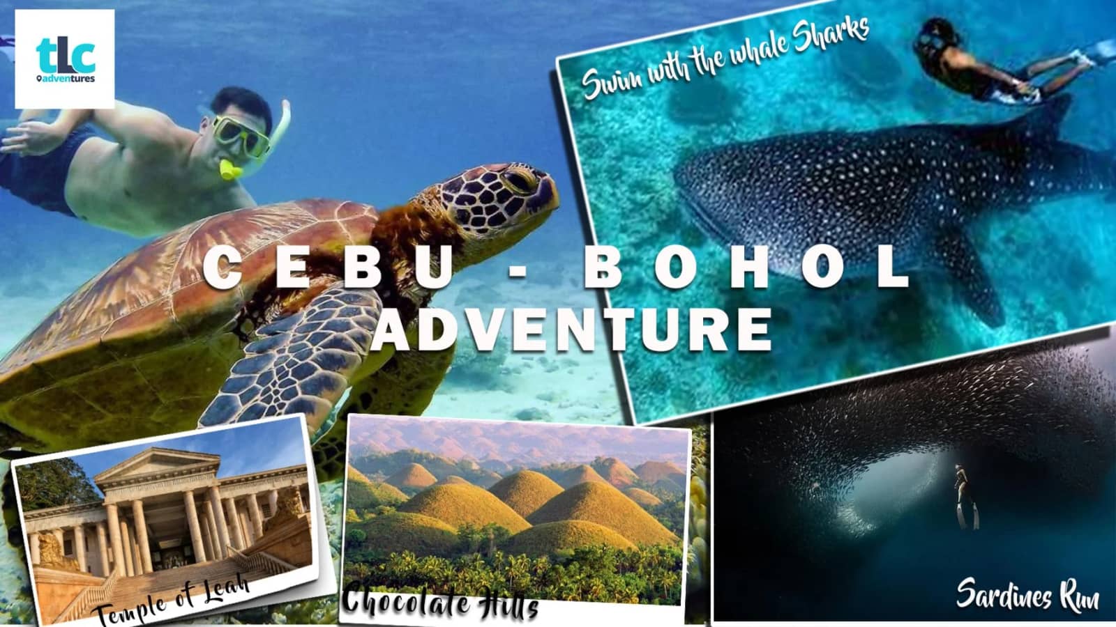 6D CEBU/ BOHOL/ OSLOB! (Whale Sharks/ Canyoneering/ River Cruise & more!)