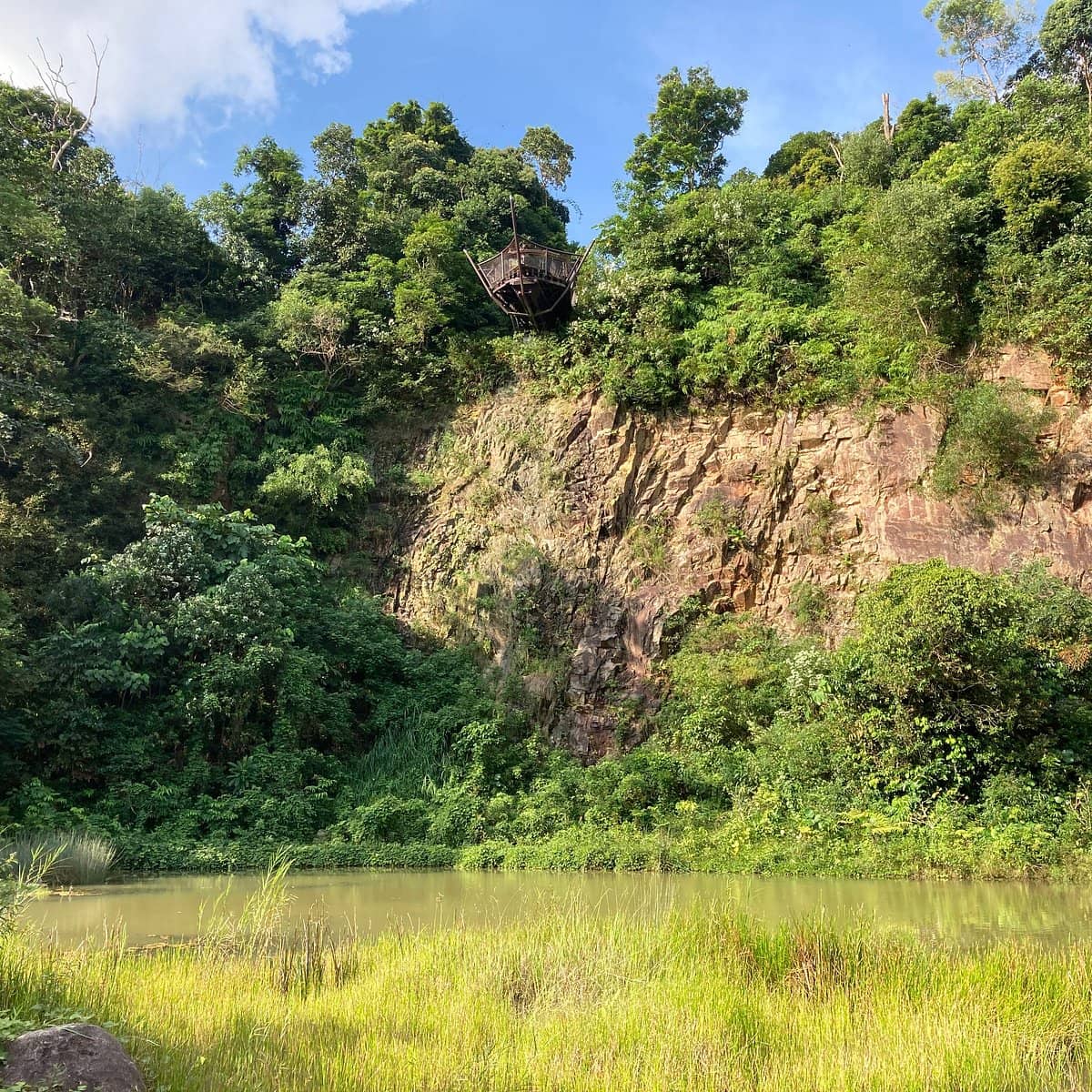 Weekend Hike: Macritchie TreeTop Walk & Rifle Range Nature Park