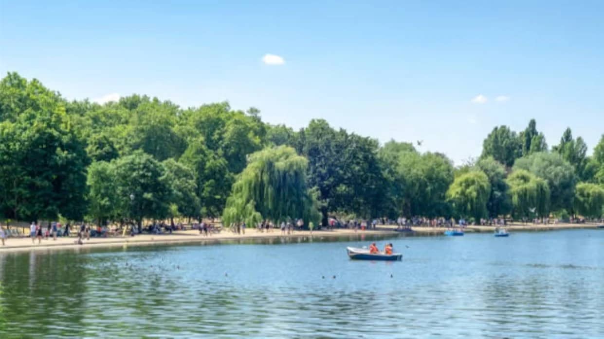Autistic Professionals Park Run and Lunch Social