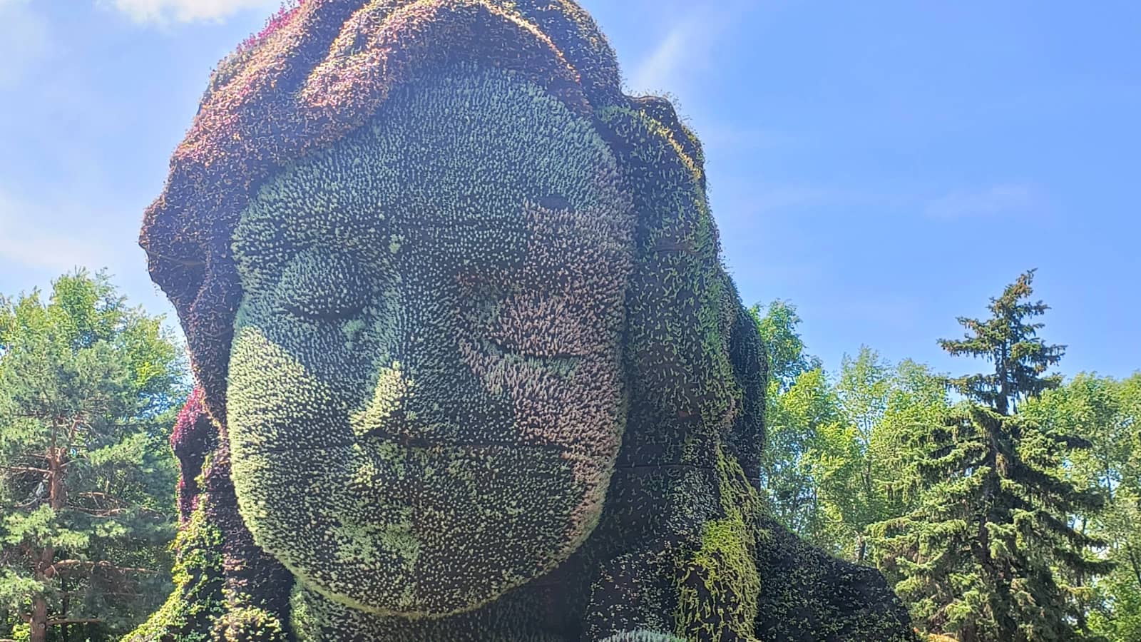 🍂 Marche automnale au parc Jean-Drapeau : Floralies & Mosaïcultures