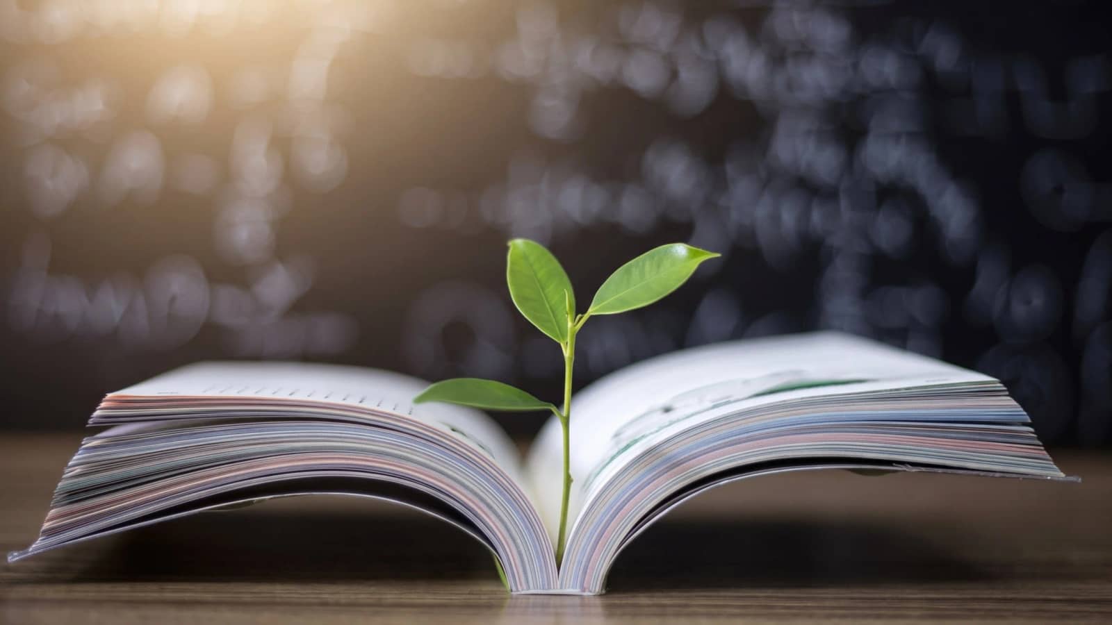 Create a list of inspirational books together