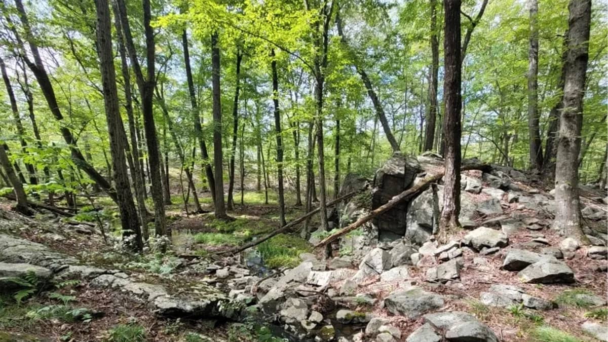 Sloatsburg Hike to Harriman