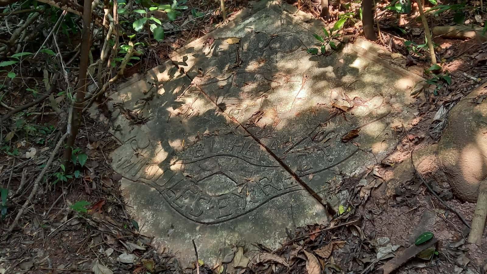 NDP SG61: Gillman Barracks Heritage Trail, Insignias & Forest Hike #HikingElite