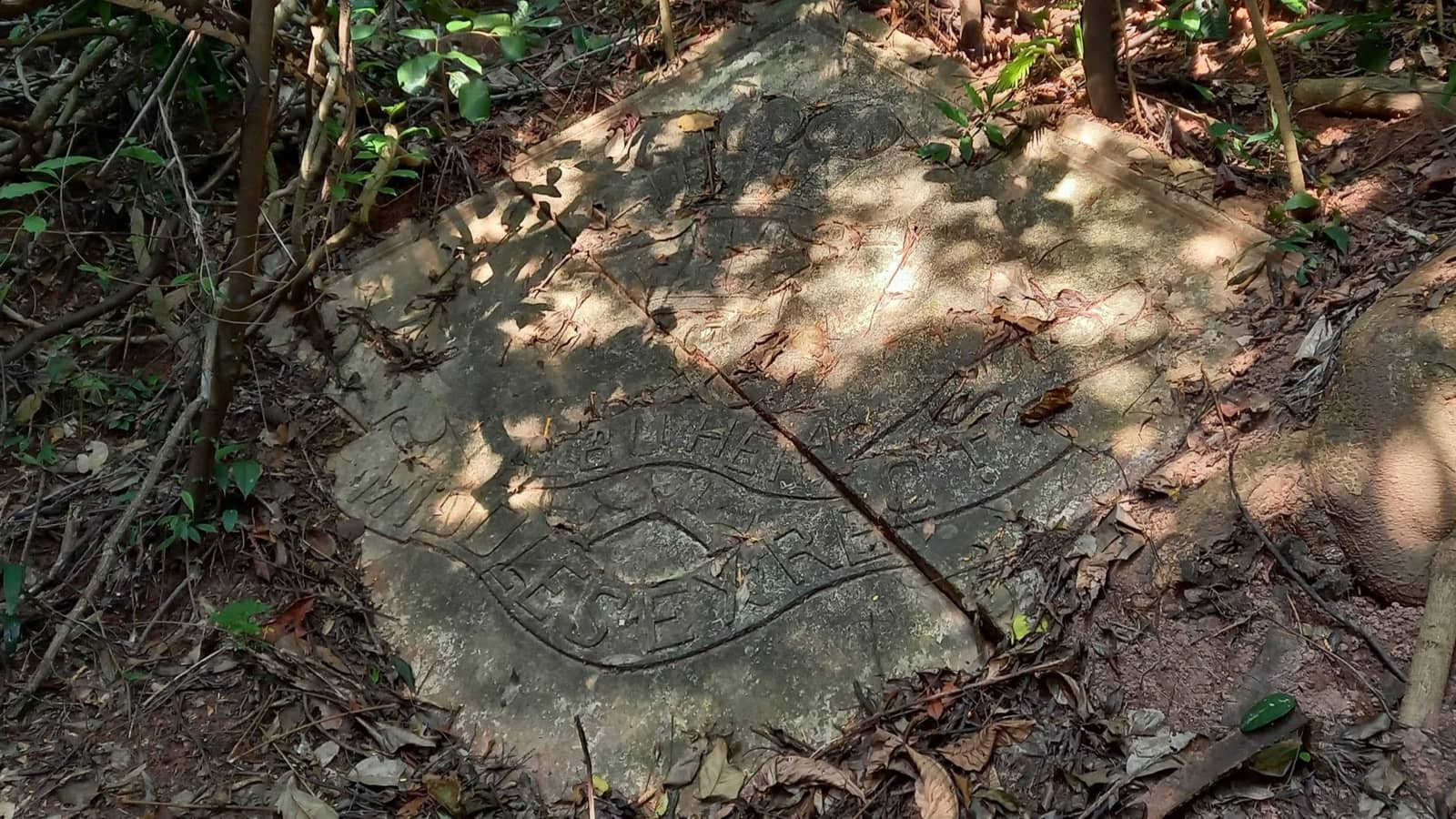 NDP SG61: Gillman Barracks Heritage Trail, Insignias & Forest Hike #HikingElite