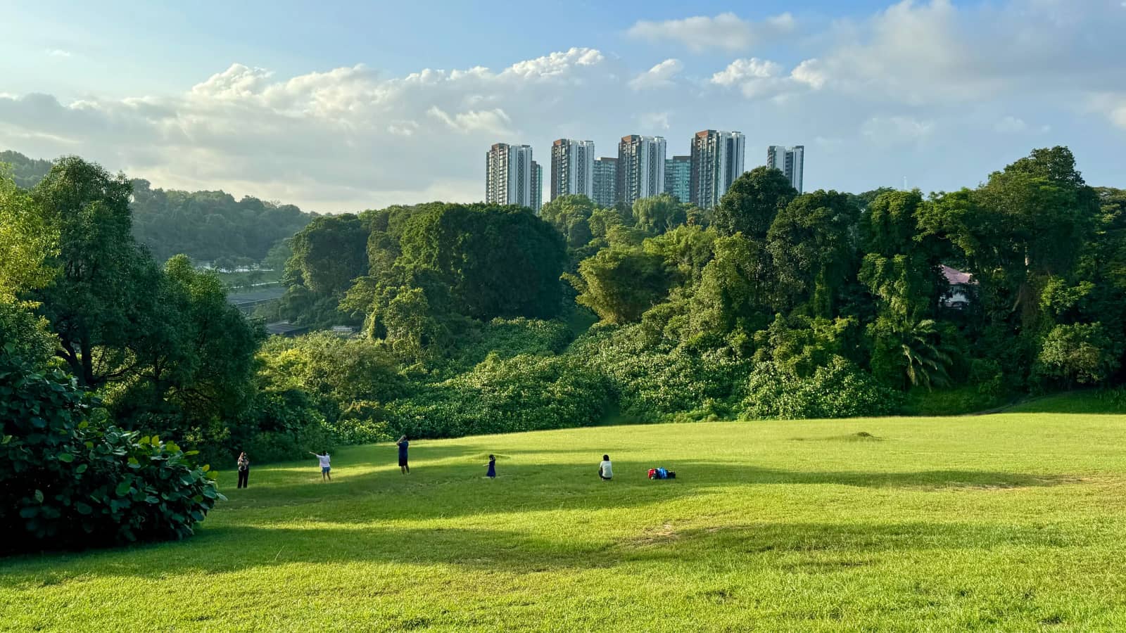 Walk the "Cameron Highlands" in Singapore!