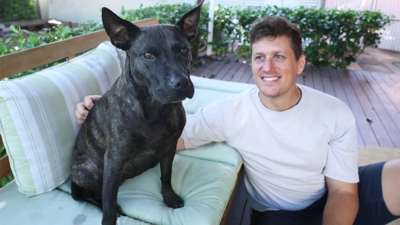 Machine Learning to mRNA: How I Built a Personalised Cancer Vaccine for My Dog