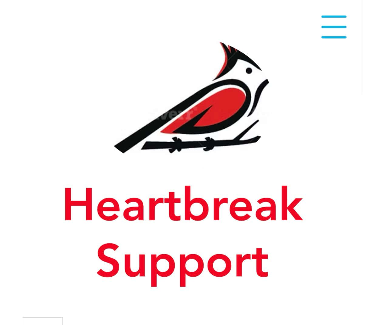 Austin Texas Divorce & Heartbreak Support