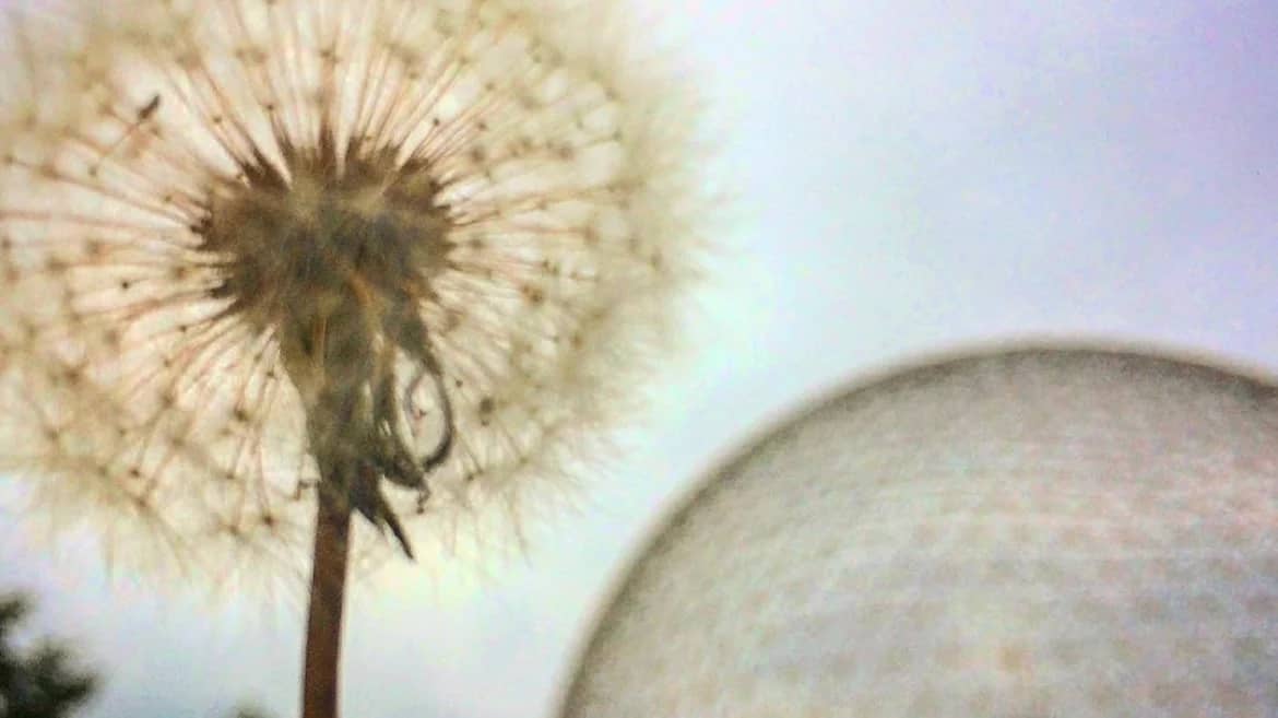 Seeing Anew — A Creative Practice for Curious Minds 👁️ Saturday, 1:00-3:00 PM