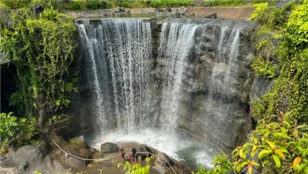 Bird Paradise Waterfall - Mandai T15 - Pang Sua Pond