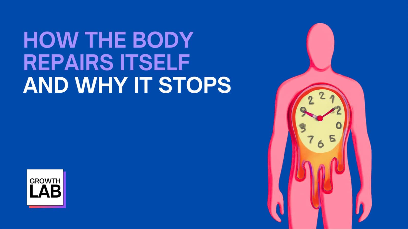 How the Body Repairs Itself, and Why It Stops (tickets on LUMA)
