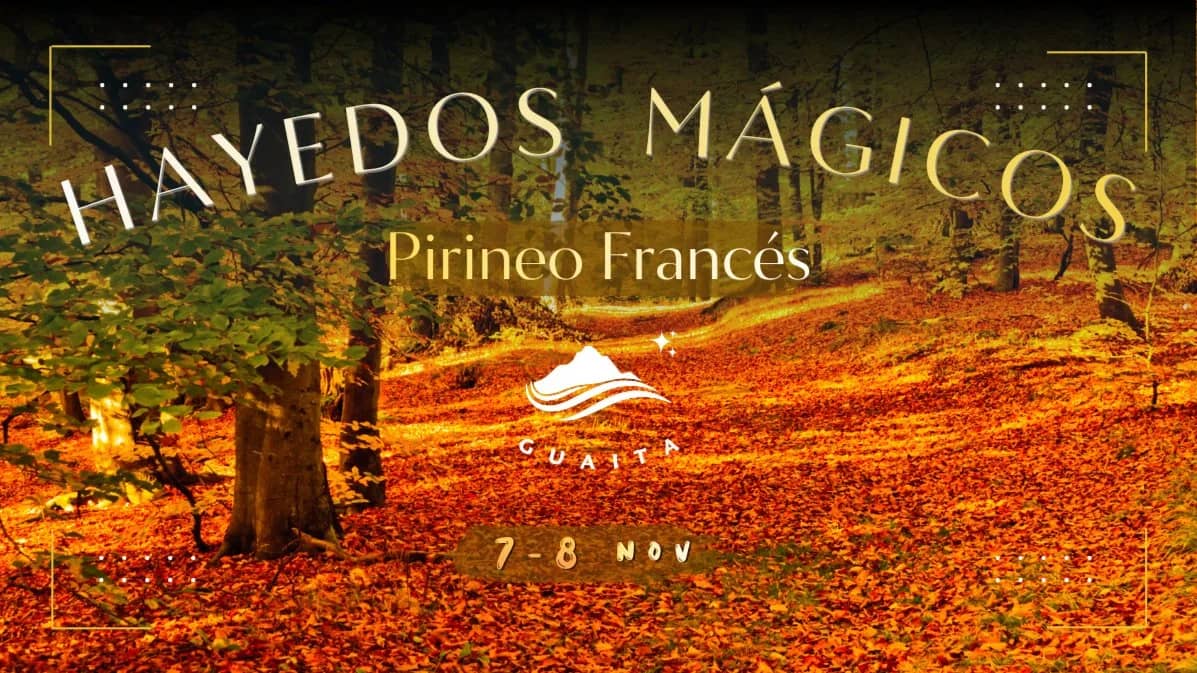 đHayedos mĂĄgicos Pirineo francĂ©sđđ„Ÿ7-8 novđâââââ