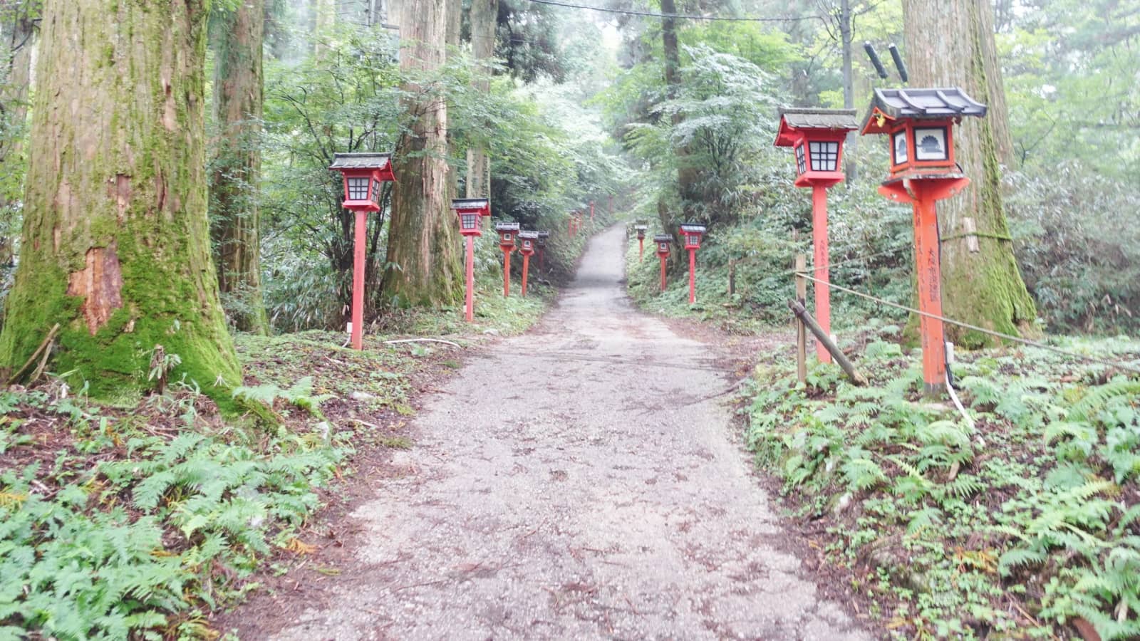 Mt. Kongo Hiking & Hot Springs Tour 金剛山ハイキング&温泉ツアー
