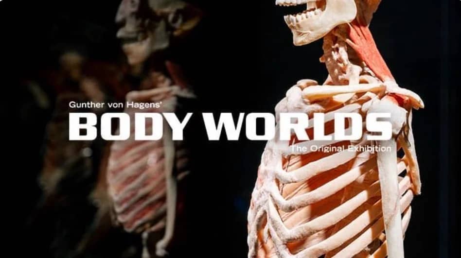 Body Works: The Anatomy of Happiness exhibition
