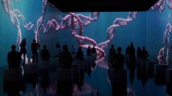 Human Experience y tomar algo