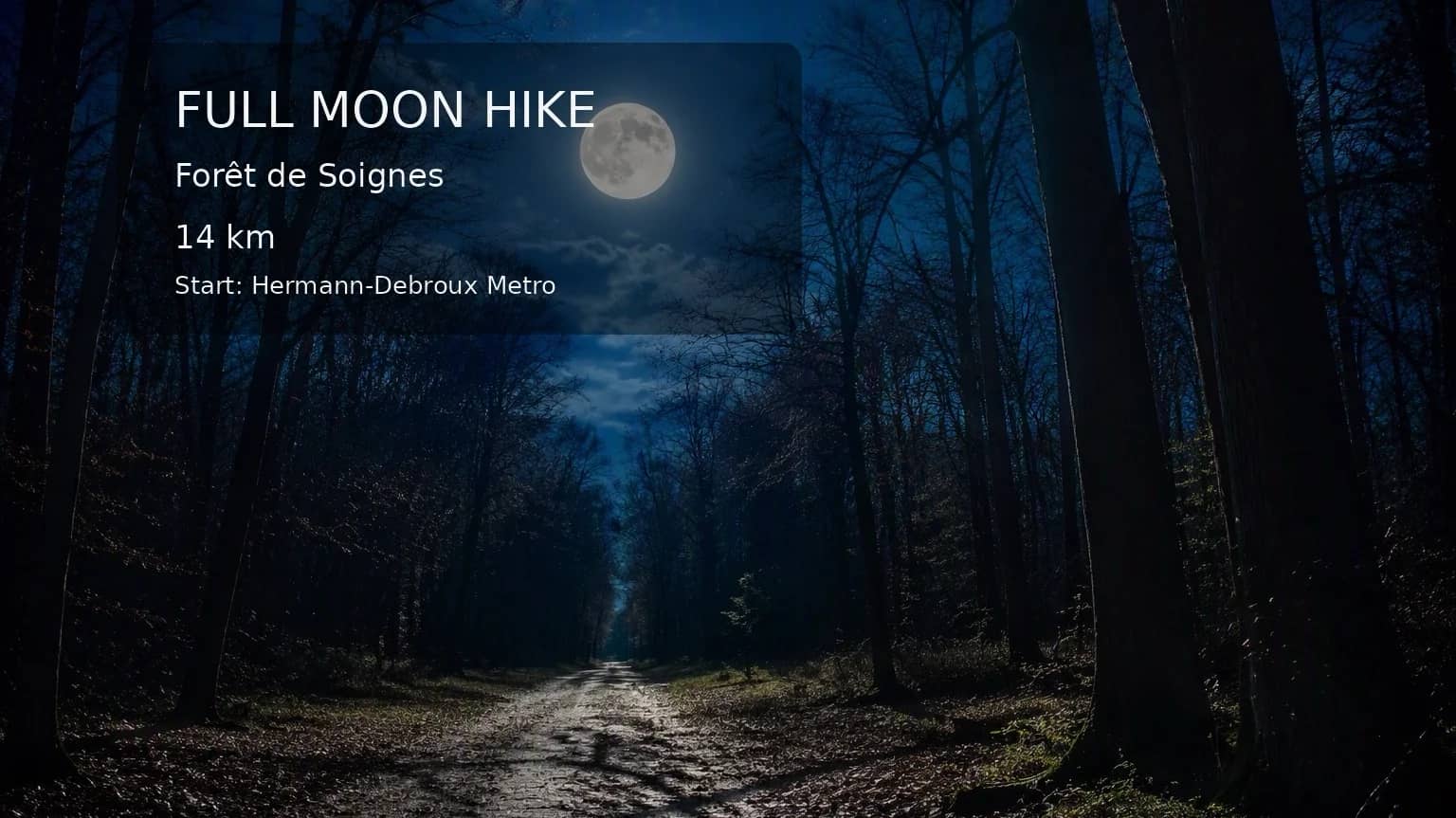 +- 14 km Full moon Hike Sonian Forest
