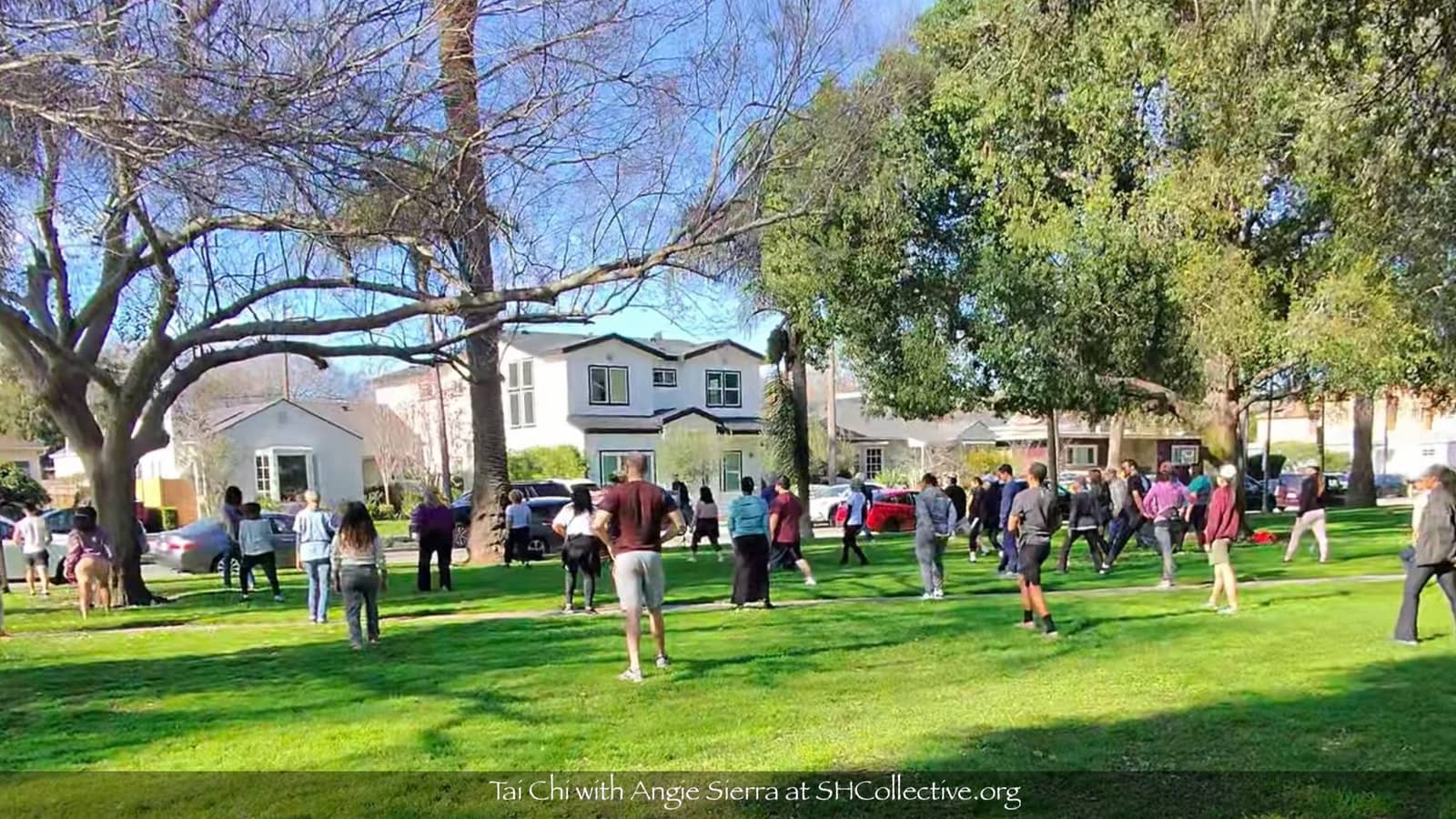 Tai Chi for Beginners! (with SHCollective)