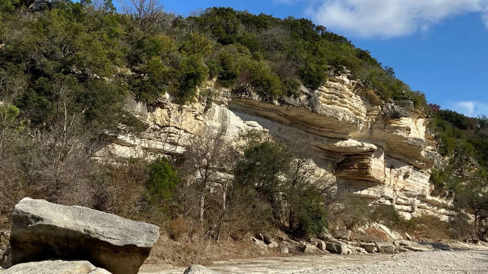 Hike Barton Creek Greenbelt from Spyglass Trailhead to Seismic Wall and Back