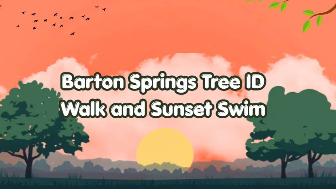 Barton Springs Tree ID Walk & Sunset Swim