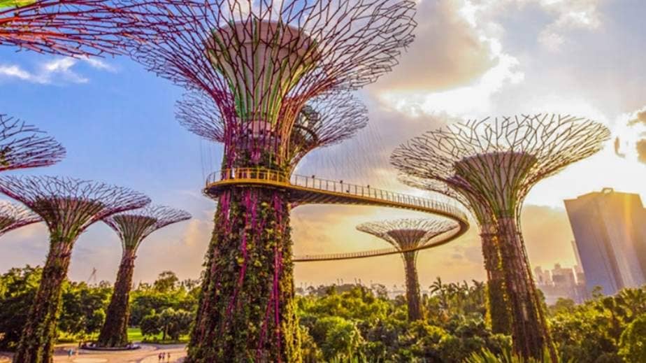 Scenic City Walk & Breakfast โ Gardens by the Bay to Lavender MRT ๐ฟ๐